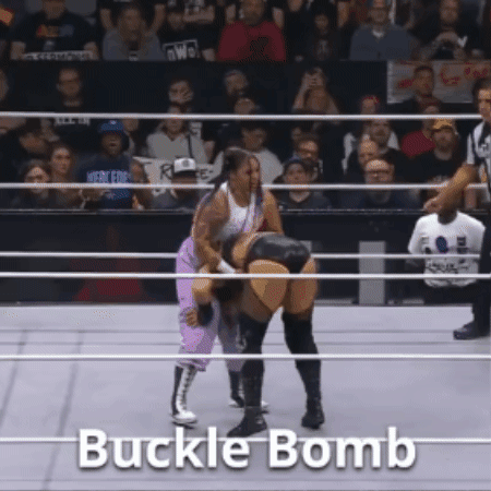7bda80a630be5e7cef12b87e93100426.gif