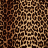 118ab5e817edaf418ea2872bbb40aa5a.png