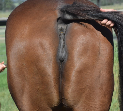 e6fbd34d87ba641effe9958c89882ca4.png