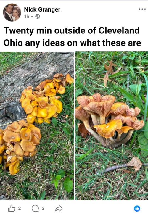 2a5c9a3cde0000e4a36fb4ede4bc9169.jpg