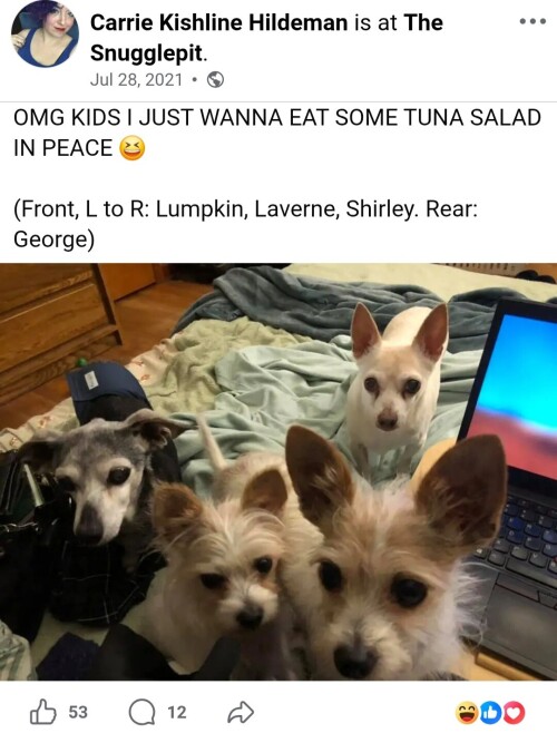 8141b627ad873cf5b4f3b5c85eea7f75.jpg