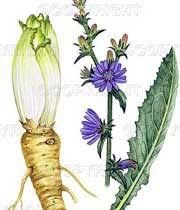 97171ec28b8bf032e07ae602aa998cb3.jpg