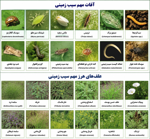 1657fdeb04a65cae7dea565a9b80ec55.png
