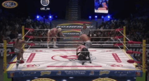 a55e88c2137c3814317d149fedde8d84.gif