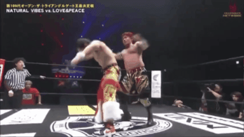 ba4485a22756b726569abfa20cf21d9e.gif