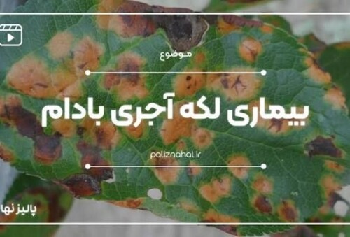 2e431def136286f3dc6e3ff6ca14c8a5.jpg