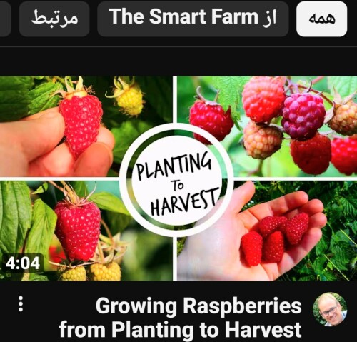 a812f51af70956fe541c500e5f0bc5f8.jpg