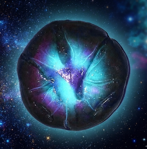 d655afabb4e768ca2127f9f04ee37113.png