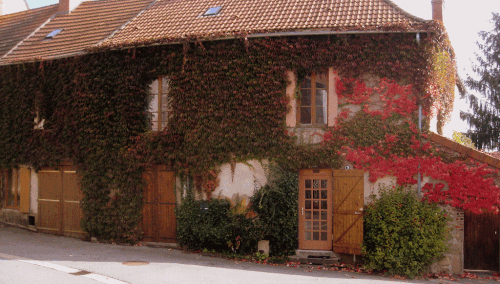 da72f0d162a6d198de48141015d5d4cf.gif