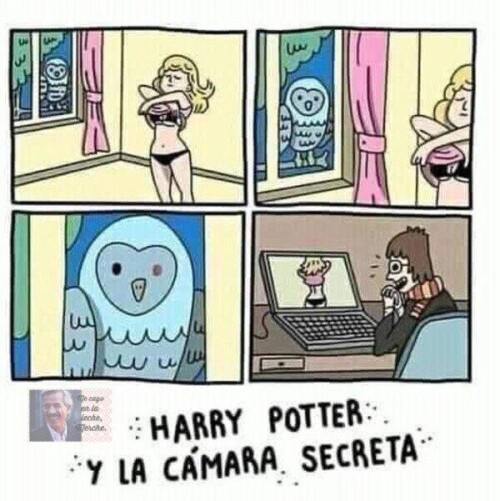 687b5da2af4ce1ef842c56625291d4ee.jpg
