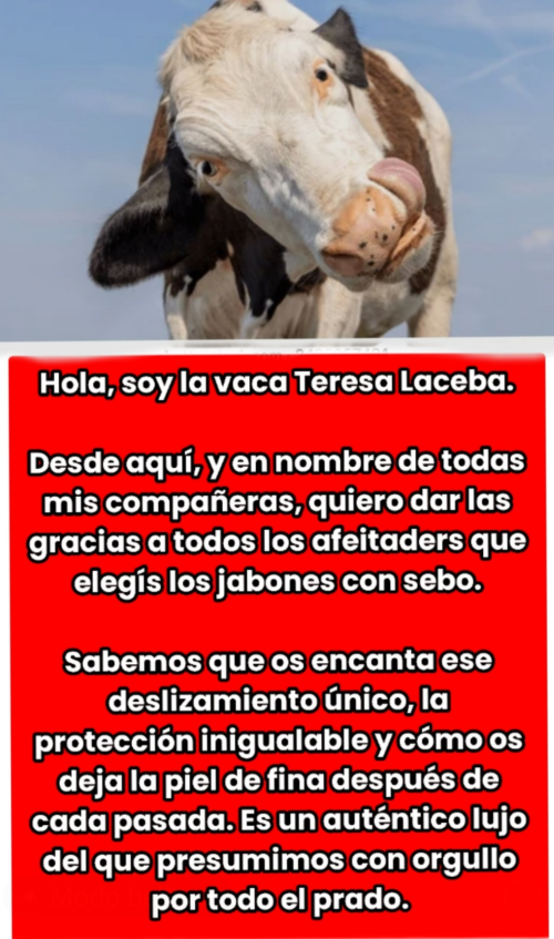15145ab9511aa2242bd33240d1e6bb93.png
