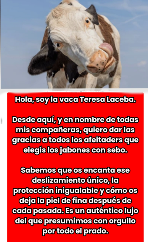 a40c6ff803f30dbb77cfea5952b11342.png