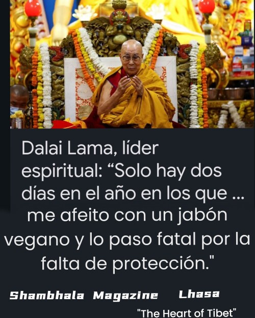 4a6b939b50e7ce2a5ba00f7b29c266d0.jpg