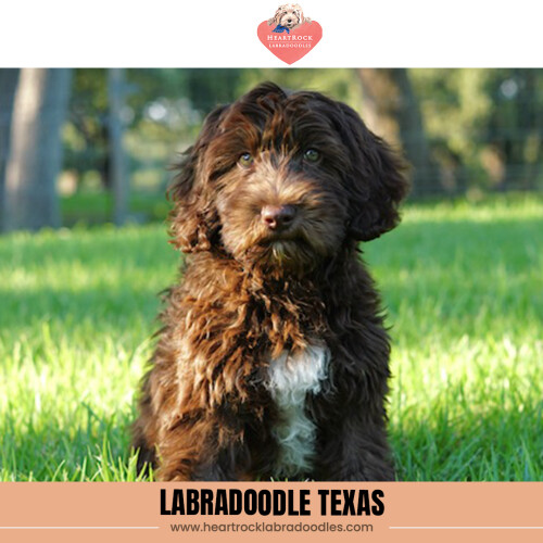 b7c4361e4dccef8a8e9f542172cdb6a6.jpg