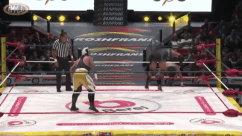 0c6428287c32a7c2ab1a607c3dc3ec07.gif