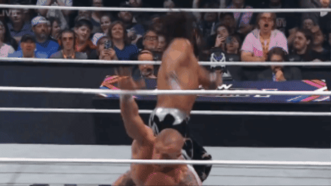 255ca3a1bab331ba158df8926c02ae2b.gif