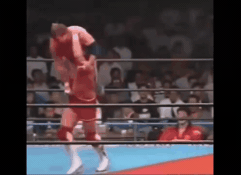 53aa097c32834b6bc1bd64f368977dba.gif