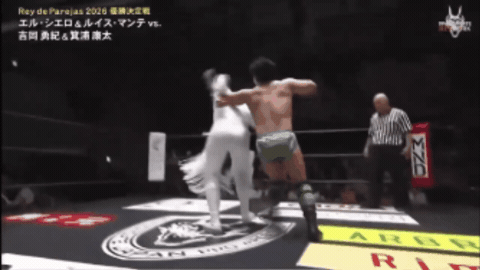 6a7a6d8f37e8e43b71e0adb1673ac930.gif