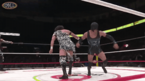 8b065f591ed0a32735f8987387977caa.gif