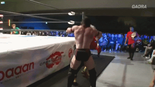 93c39b4ba1066180306cd180a1ef4a68.gif