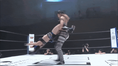 a31bef4ffdc170a869f9f1cbb7b84409.gif