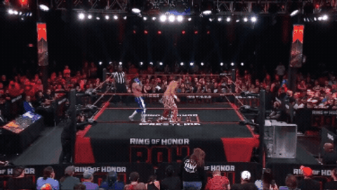aae44ab3639207a0964f3bf8fd2c4e85.gif
