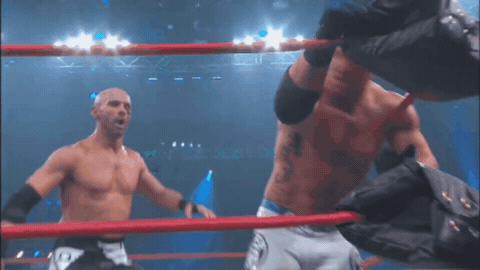 ade5229254d504a842fde38a8f1a961e.gif