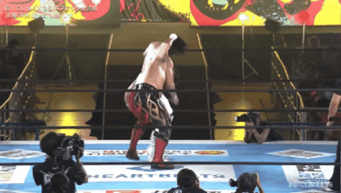 c82acd6f8a83d3ebe8f73d27274edb39.gif