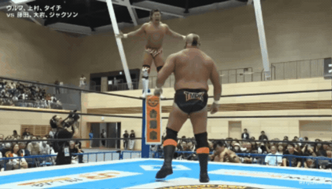 dbb30379cfe73eb385c50e23172a16f5.gif