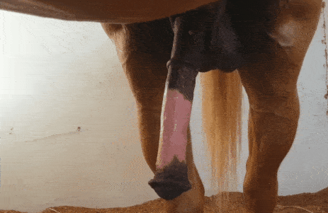 5b163eba7a08be127aba41de58ebb28f.gif