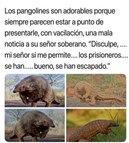 0b319f6dfacfd2c6a754088668c3d6f1.jpg