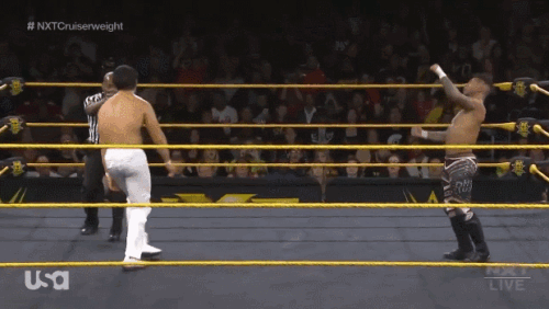 0b86894317248ec03ef66ac7095c0fb4.gif