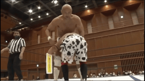 1535dfd46ae48163a3f6be37330c49a0.gif