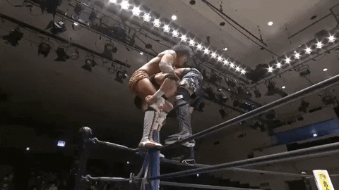 0aabca9832bd89fddea5e70097c20520.gif