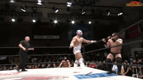 365ac99f1bc8bf21f324ea2e9ced7a99.gif