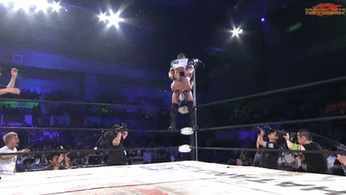 3b5d7eea7707ea04a4d5875d812c8da4.gif