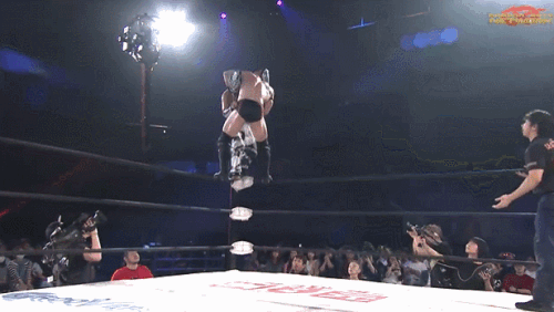 6b12a97fb0659012d79b54c31000f295.gif