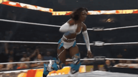 a9c420d8f27c3028385b4ff4904e40ea.gif
