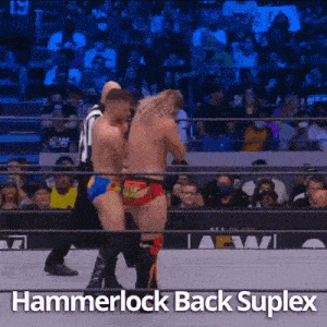 ae202fe66317ebe5a96109cef71c55ae.gif