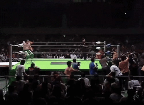 f3ed2baeec9ba7bcc42916e8bd02d60a.gif